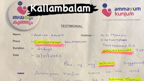 Ammayum Kunjum