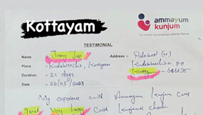 Ammayum Kunjum
