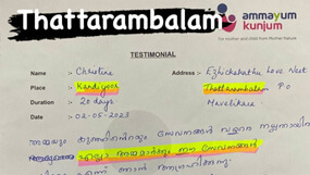 Ammayum Kunjum